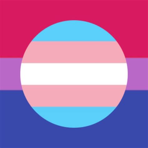 Pride Flag Pfp Base In 2022 Pride Flags Bi Pride Flag