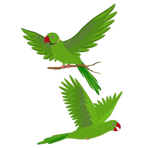 Premium Vector Beautiful Green Parrots Parrot Flying