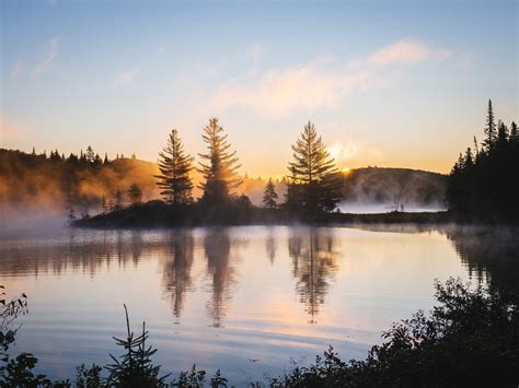 1920x1080 Lake Reflection Morning Mist Trees Nature Hd 4k