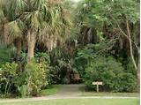 Photos of Manatee Park Florida Fort Myers