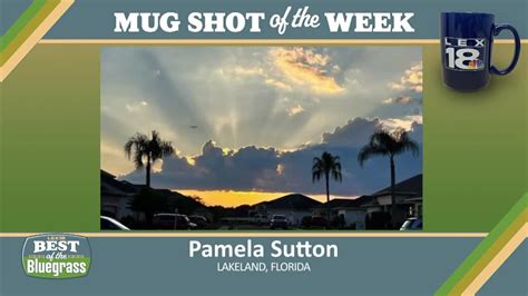 Mug Shot Of The Week Pamela Sutton