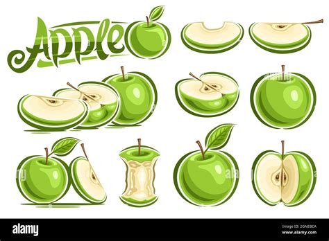 Vector Set Of Green Apples Lot Collection Of Cutout Illustrations