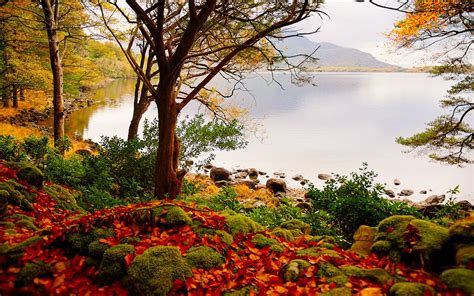 Autumn Lake Trees Landscape Wallpaper 2560x1600 174841