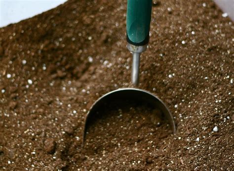 This means that the air flow and water drainage are much better for delivering nutrients to your plants. What's so Great About Soilless Potting Mix