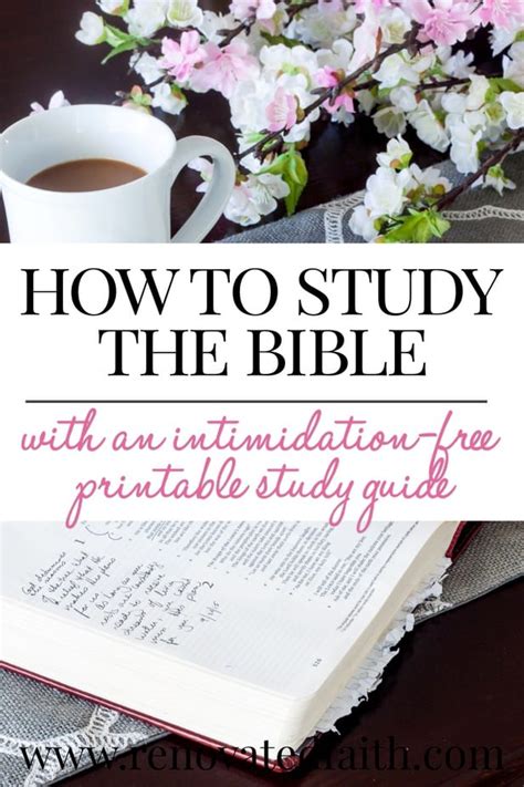 How To Study The Bible For Beginners Pdf Printable For Free