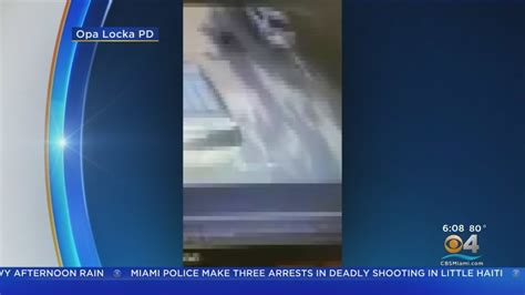 Police Searching For Driver In Opa Locka Hit And Run Youtube