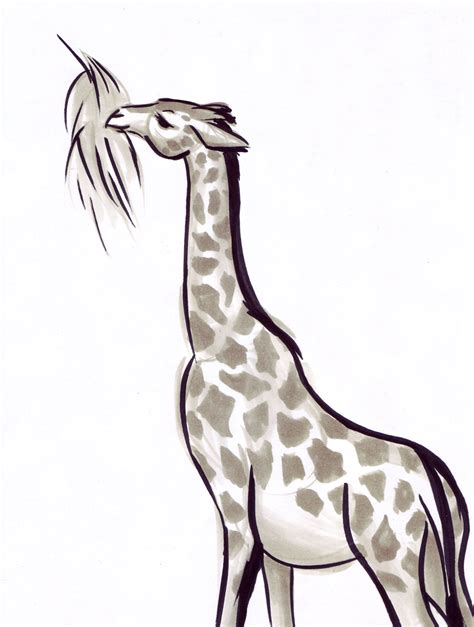 Steftaculars Blog Animal Gesture Drawings From The La Zoo