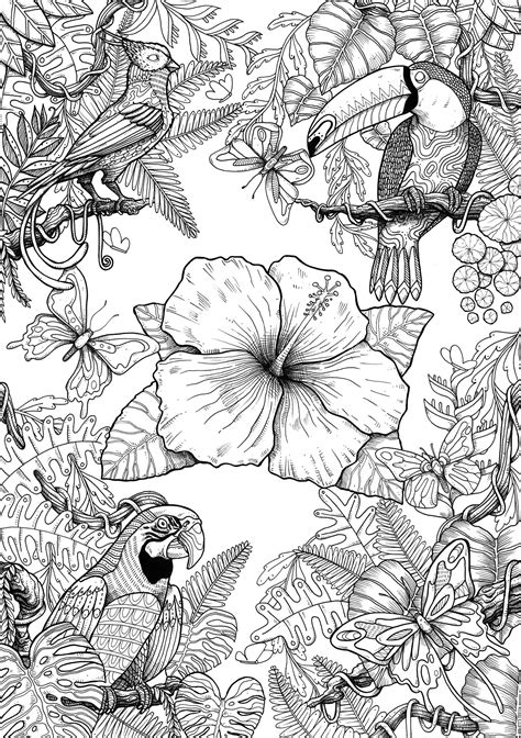 Birds On Behance Bird Coloring Pages Detailed Coloring Pages Free Adult Coloring Pages