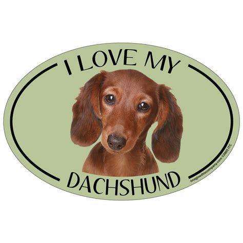 I Love My Dachshund Colorful Oval Magnet