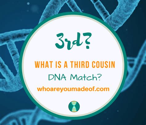 What Is A Third Cousin Dna Match Who Are You Made Of