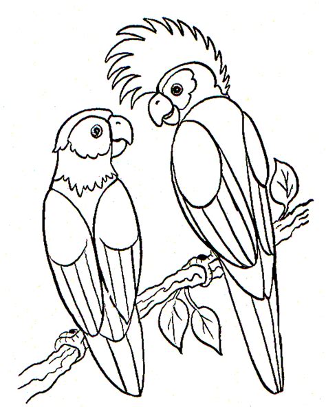 Bird Coloring Page Parrots Animal Coloring Page Coloring Home