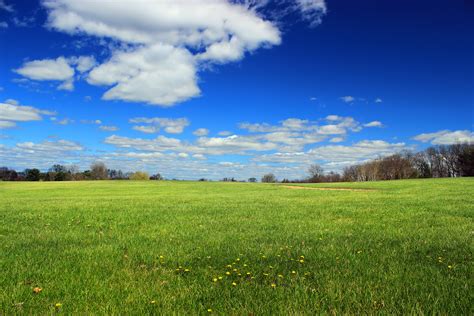 Green Grass Field Surrounded With Trees At Daytime Hd Wallpaper Wallpaper Flare
