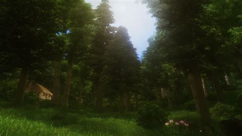 Into The Great Forest At Oblivion Nexus Mods And Community