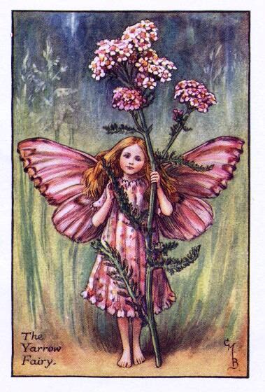 Yarrow Flower Fairy Vintage Print Cicely Mary Barker The Flower