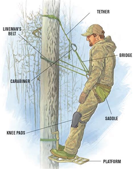 Bowhunting S Guide To Tree Saddle Hunting Petersen S Bowhunting Bow