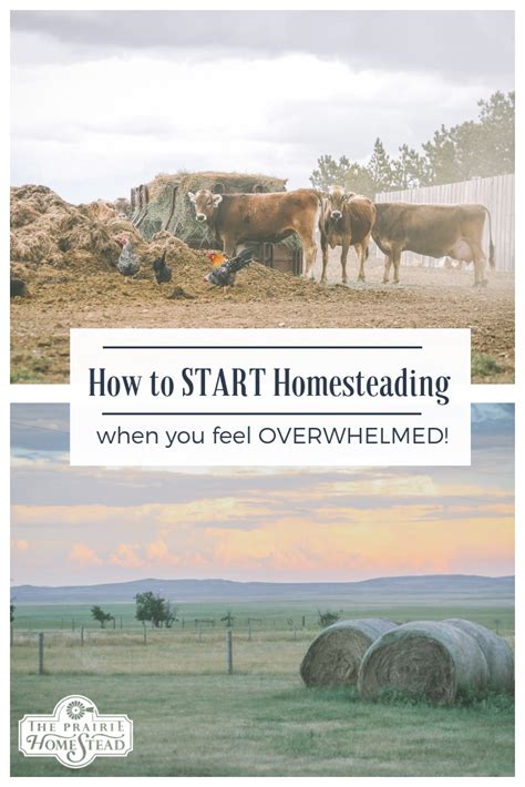 How To Start Homesteading When You Feel Overwhelmed The Prairie