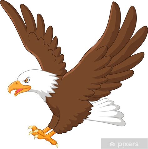 Aguila Volando De Frente Dibujo Sé Como El Aguila Dejá Fluir