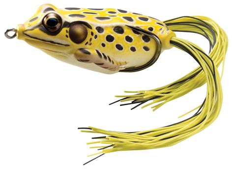 Fishing Top Water Lures For Bass I Did Some Research And Found The Top Lagemouth Bass