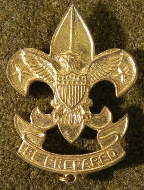 Vintage Gold Boy Scouts Of America Insignia Pin