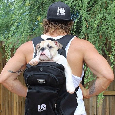 Unfollow backpack carrier dogs to stop getting updates on your ebay feed. 17 Best images about Adorable Dogs in Backpacks on ...