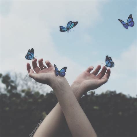 We did not find results for: Carmen Doddema • p h o t o on Instagram: "You are like a ...