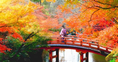 Japan Fall Foliage Forecast 2018 8 Best Spots To Experience Autumn