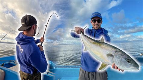 Pescando Jureles De Castilla Yellowtail En Mexico Baja California