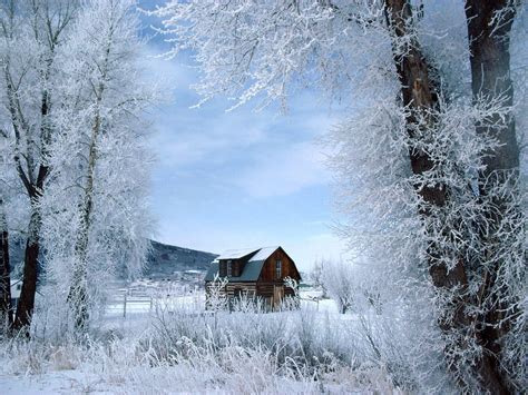 Free Download Winter Scenes For Desktop Wallpapers 1024x768 For Your