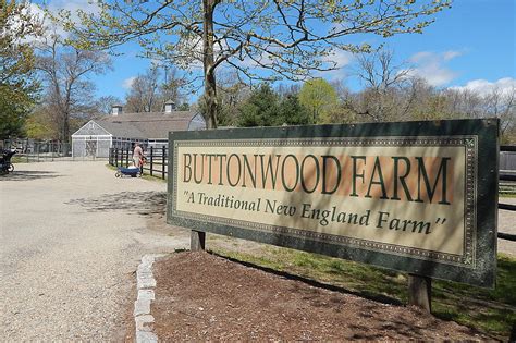 Buttonwood Park Zoo Barn To Be Renovated For Classroom Space