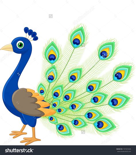 Free Peacock Clipart Free Download On Clipartmag