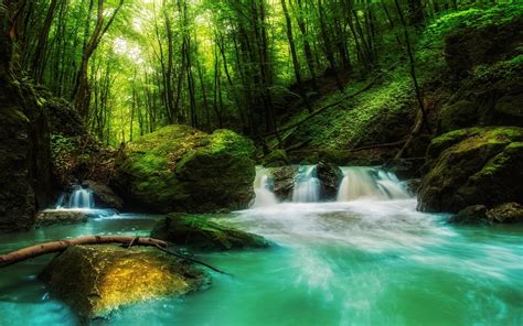 Waterfall In Green Forest
