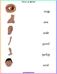 One of the two parts of the body that you use to see with. Sample Tamil worksheets | Letter worksheets, Preschool ...