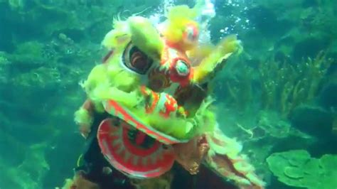 In malaysia, the sound of drums and firecrackers accompanying the frenzy of lions and dragons is very much a welcome sight as they are. Underwater Lion Dance at Aquaria KLCC 2015 吉隆坡KLCC水族馆水中舞狮 ...