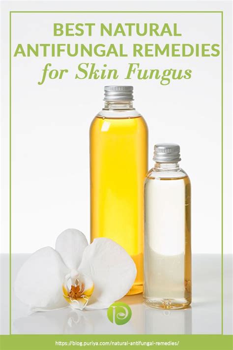 Best Natural Antifungal Remedies For Skin Fungus Puriya Blog