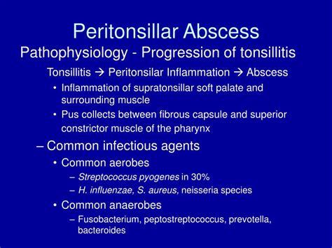 Peritonsillar Abscess Anatomy