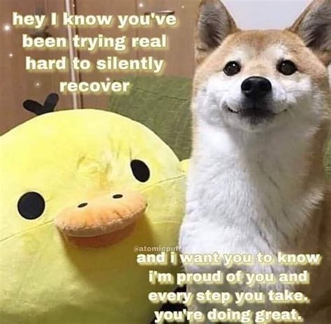 Wholesome Memes Im Proud Of You Meme
