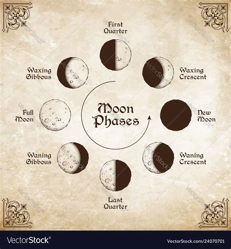 Antique Style Moon Phases Circle Royalty Free Vector Image