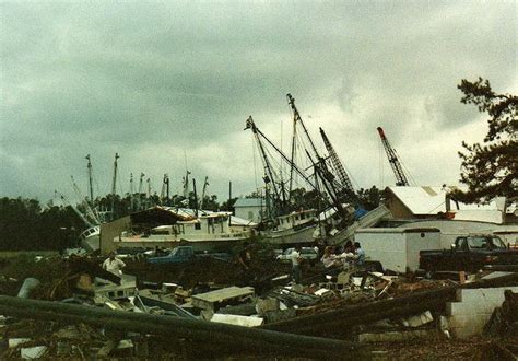 After Hurricane Hugo Mccellanville Sc 1989 South Carolina