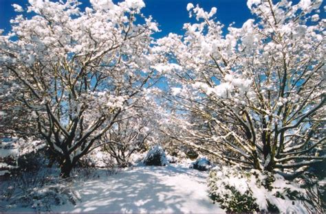 10 Places To Take Photos Of The Snow In Metro Vancouver Curated