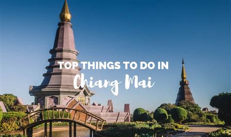 Things To Do In Chiang Mai Thailand Elephant Freedom Project Chiang Mai Thailand