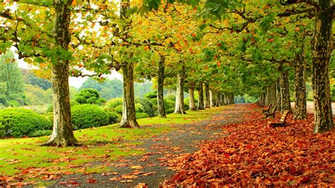 Autumn Scenery Wallpapers, Pictures, Images