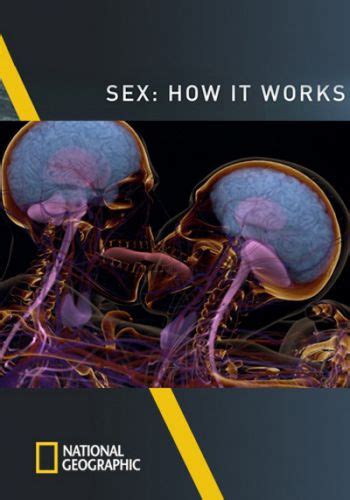 Sex How It Works 2013