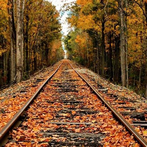 Pin By Cindy Smith On All Fall Train Tracks Scenery Railroad Pictures