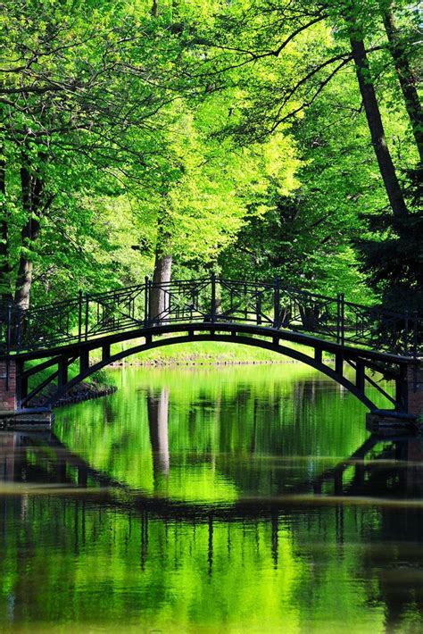 Serene Green Beautiful Nature Places To Visit Landscape