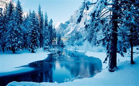 Winter Nature Wallpapers