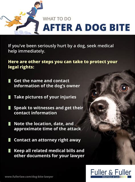 Steps To Take After A Dog Bite To Protect Your Rights