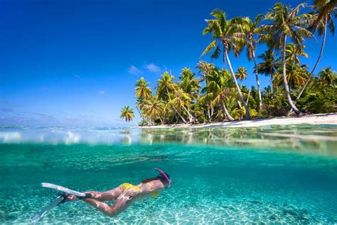 Scuba Diving Tahiti Bora Bora French Polynesia