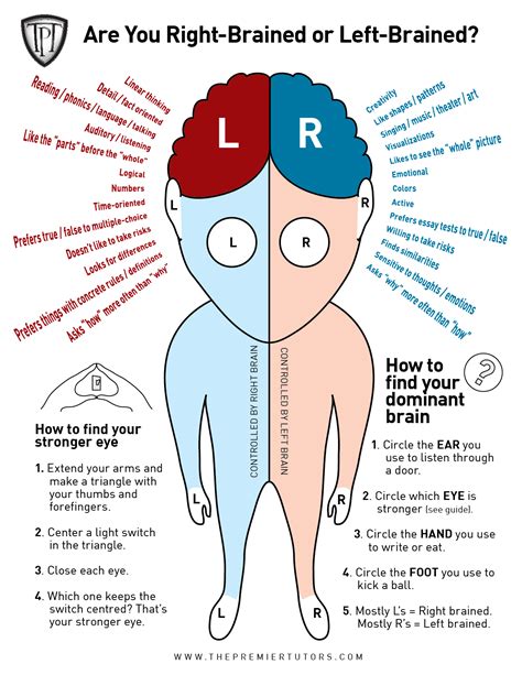 Are You Left Brained Or Right Brained Visual Best Infographics