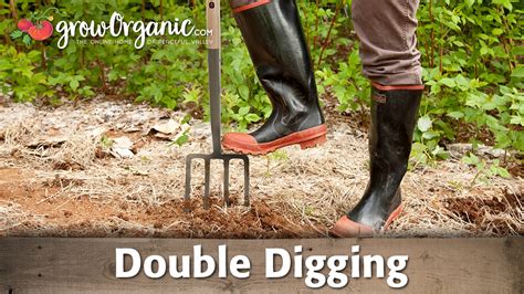 Using Double Digging To Start Your Garden Youtube