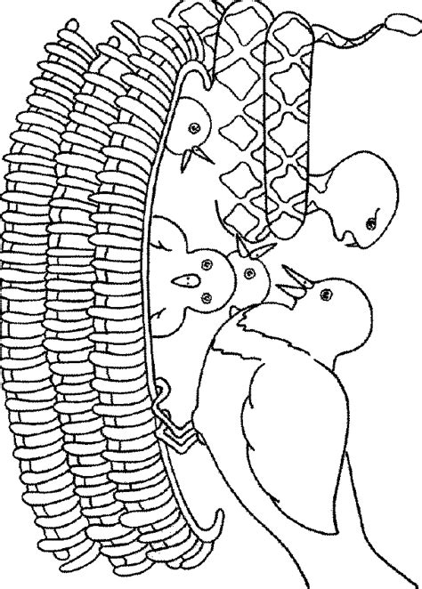 Canku Ota Coloring Book Page One